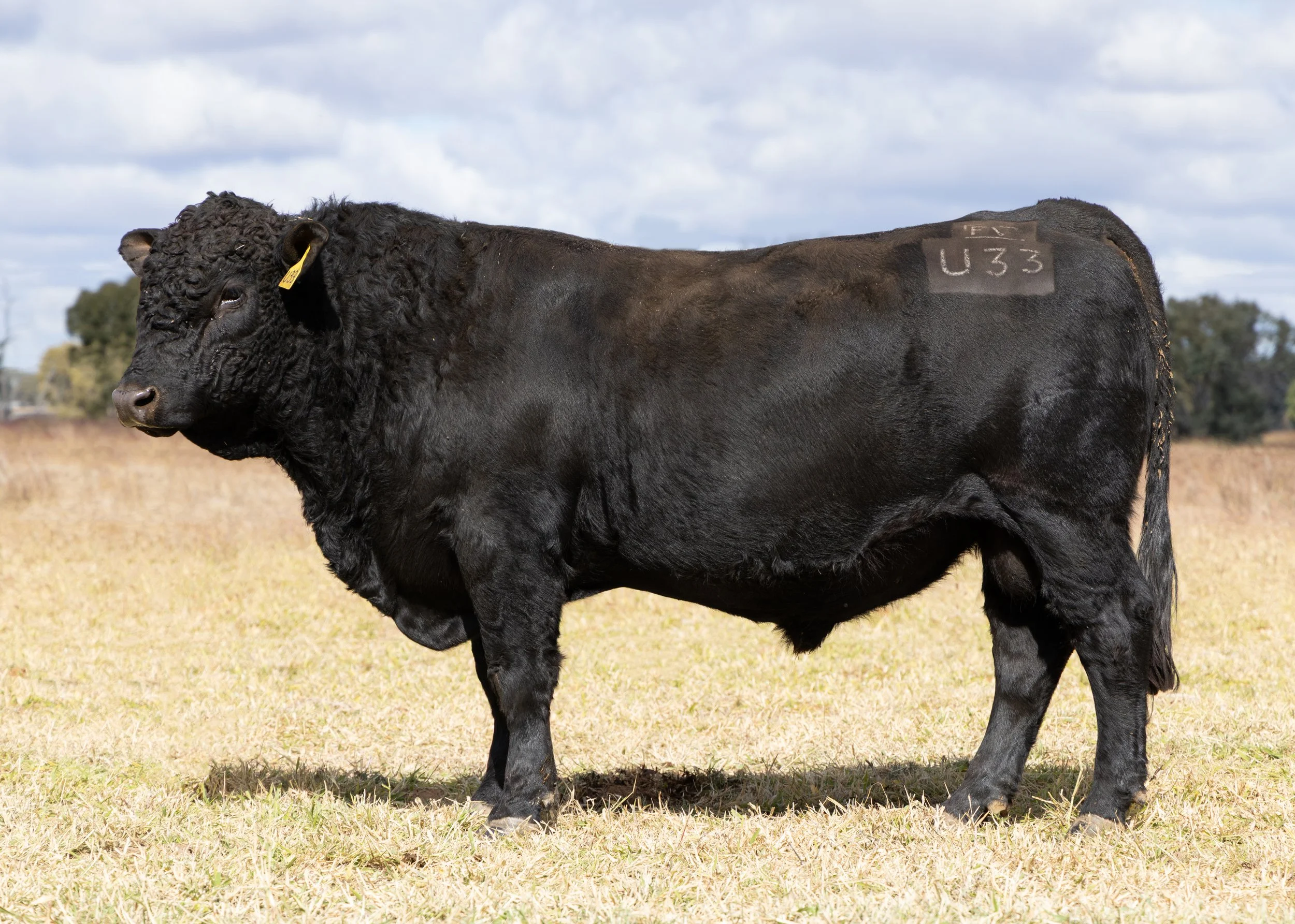 LOT 5 - FAIRVIEW UPLIFT U33 (PP) (AI) (B)