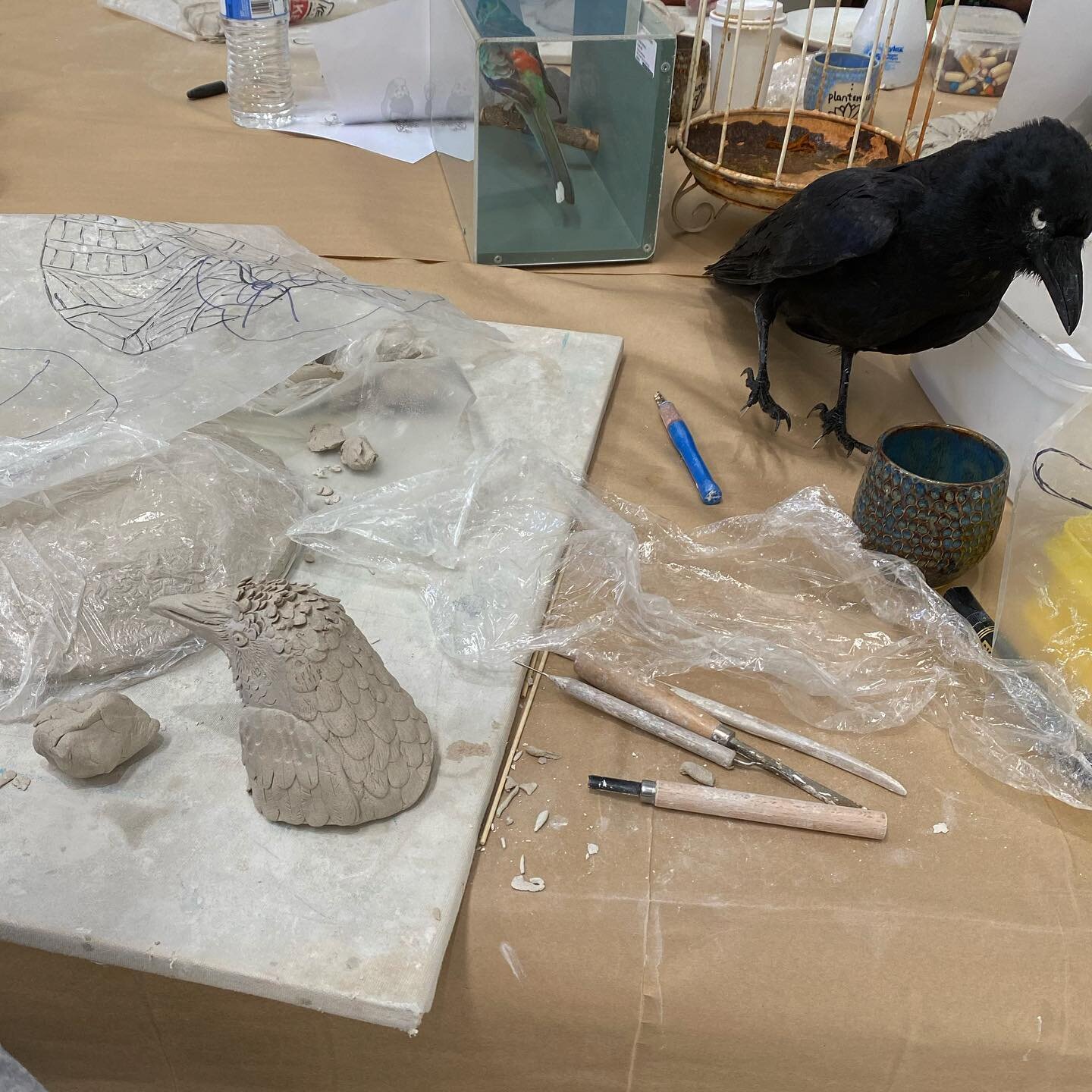 I had such a wonderful group come to my &quot;birds in relief&quot; workshop yesterday, thank you all for your enthusiasm and the fabulous pieces you made.
#ceramicworkshop #ceramicbirds #makingceramicbirds