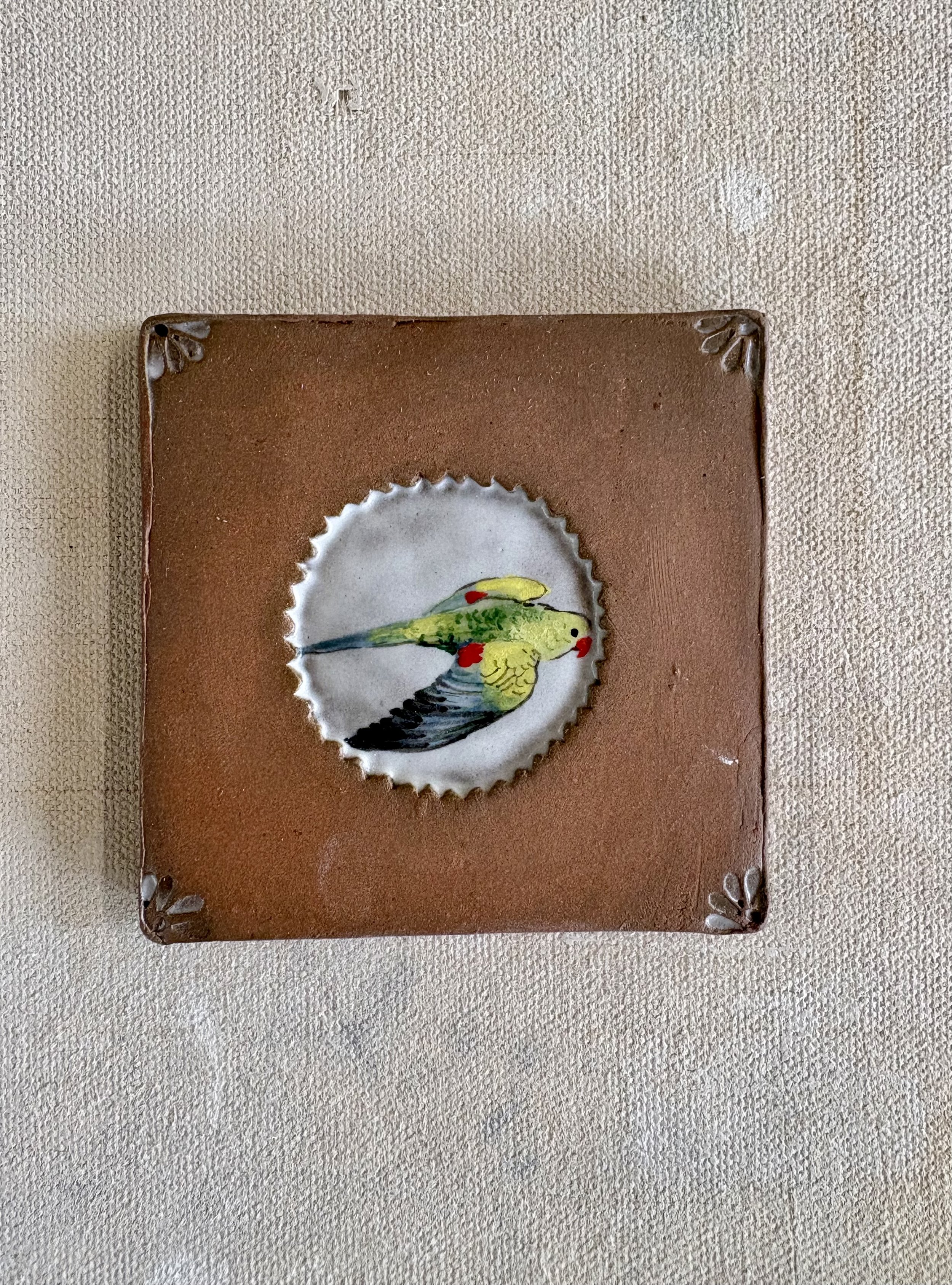 Flying regent parrot