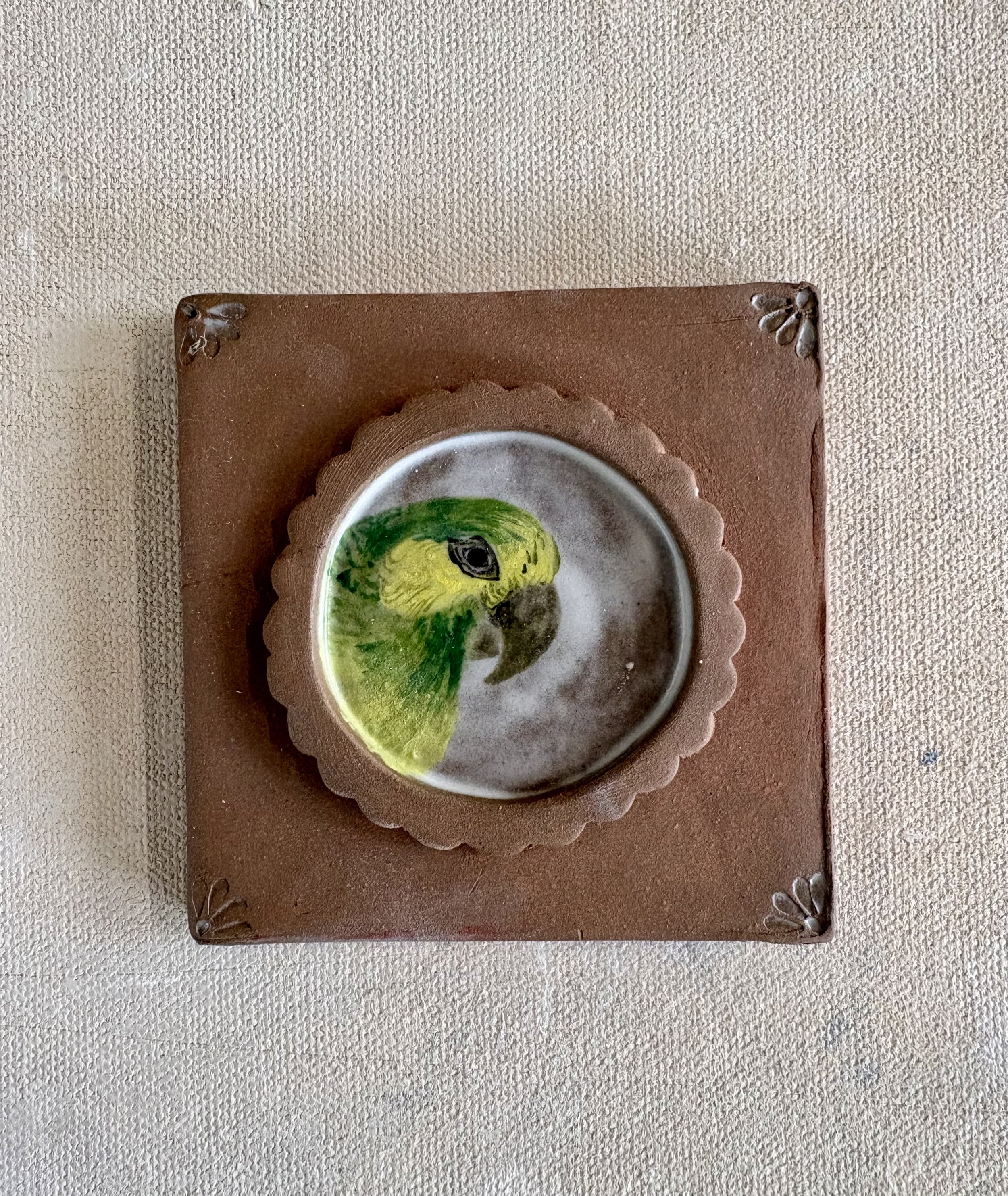 green and yellow parrot