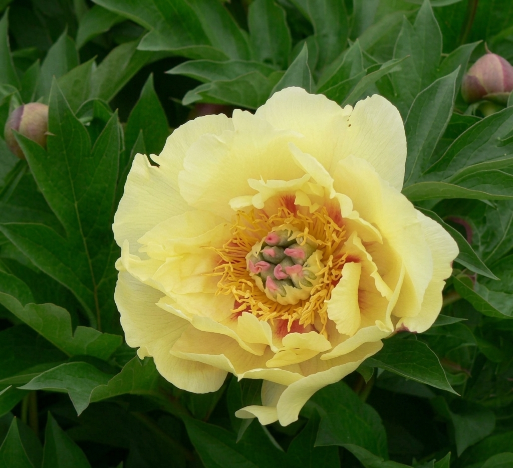 Garden Treasure (2).png