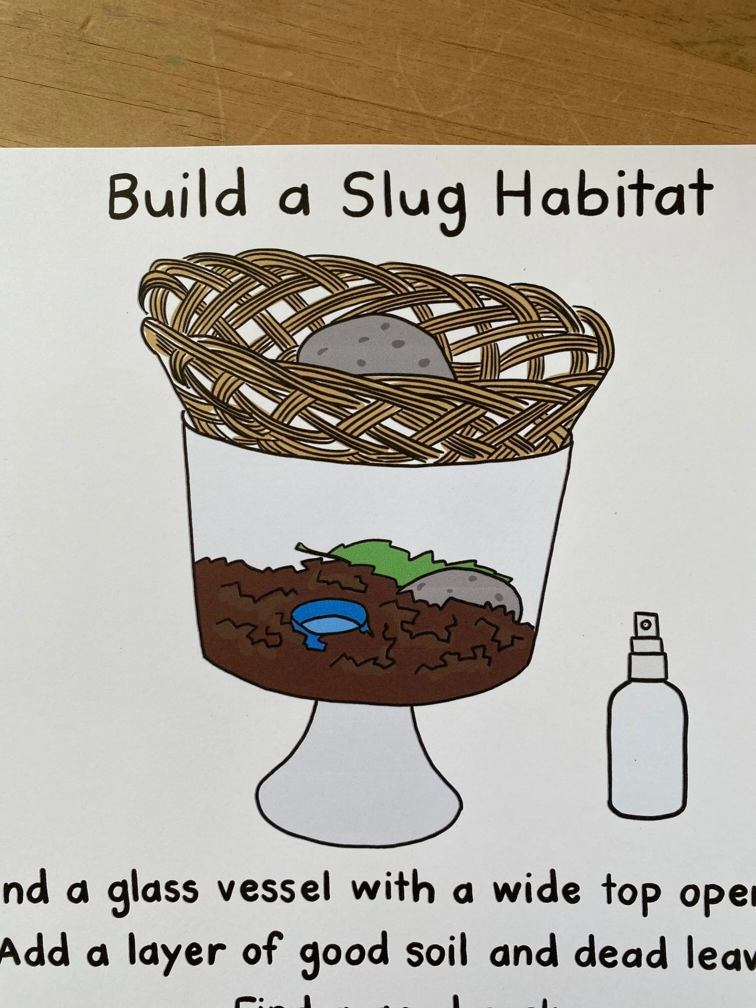 Build a Slug Habitat — Crafting Your Classroom