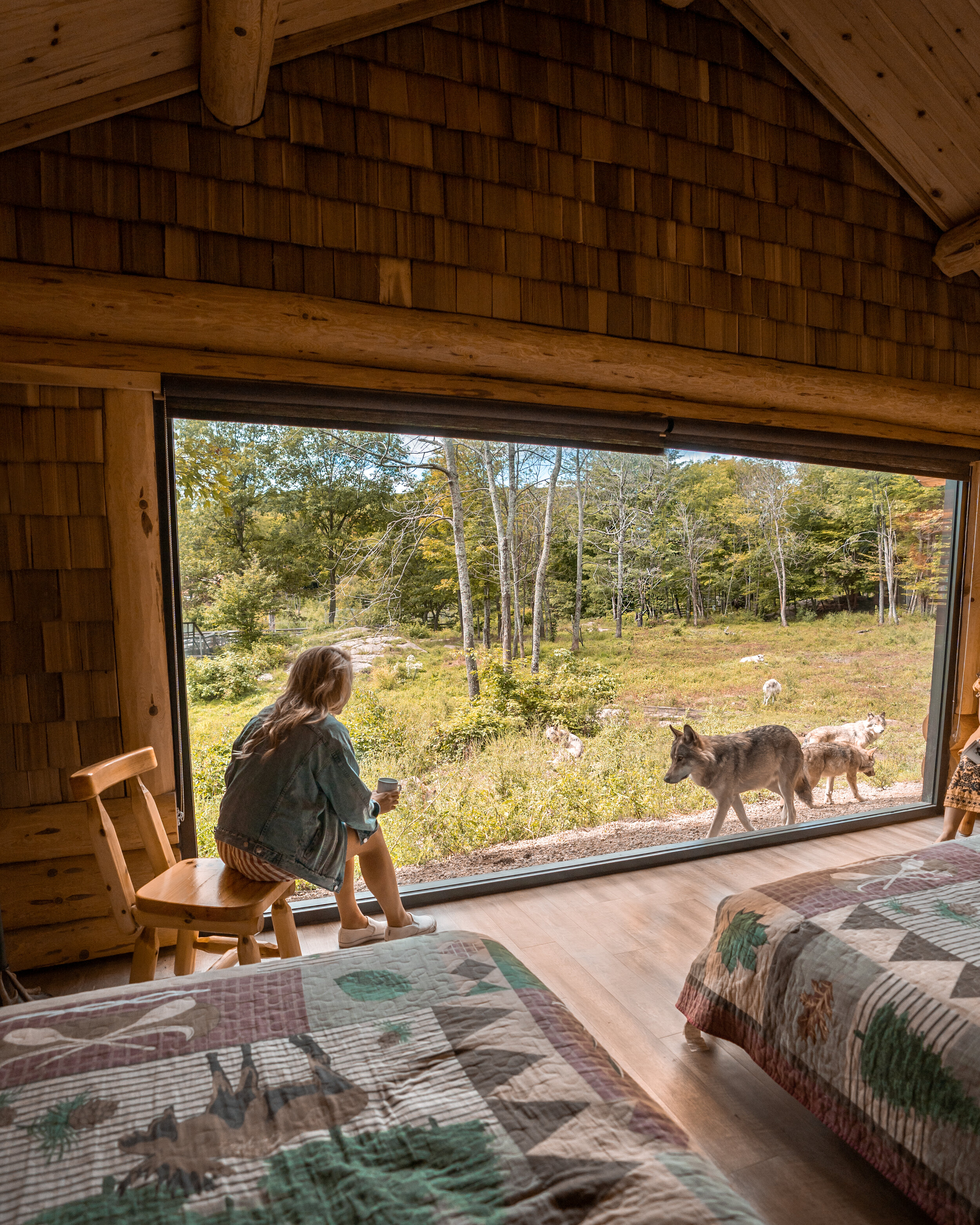 wolfcabin.jpg