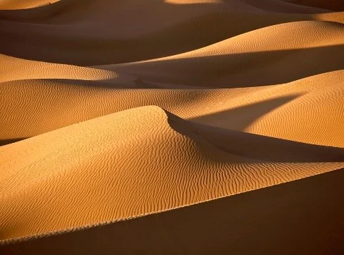 Sand Dunes -  iStockphoto