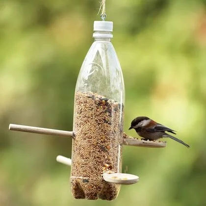 Water Bottle Bird Feeder via Disney Family Fun