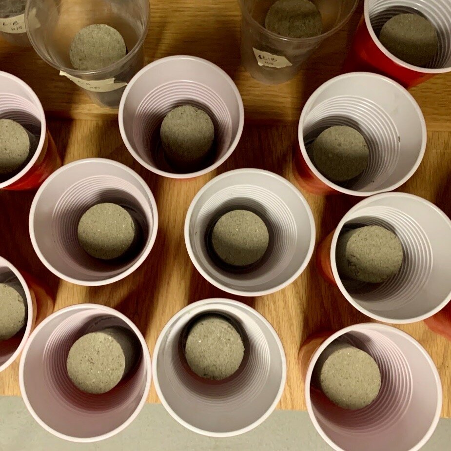 Screen Shot 2019-12-28 at 11.30.18 AM.jpeg