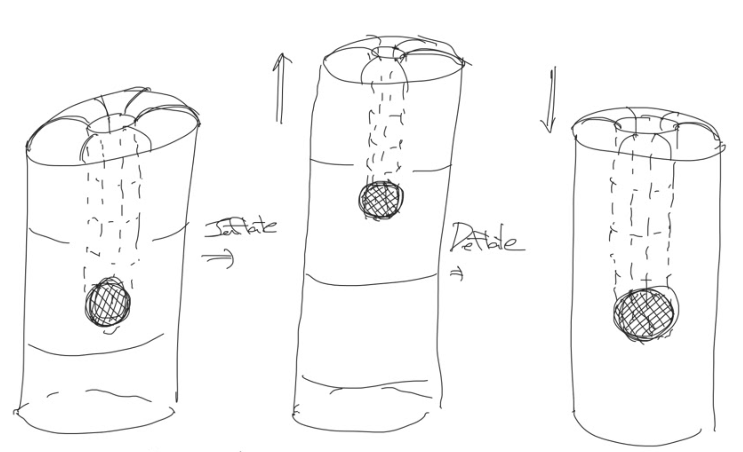 Screen Shot 2021-09-12 at 4.54.25 PM.png