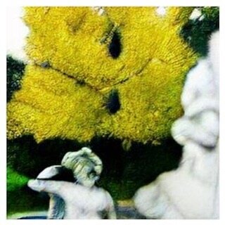 #⛲️
From the series &ldquo;Ginkgo Tree Garden with Marble Renaissance Sculpture&rdquo; 2022