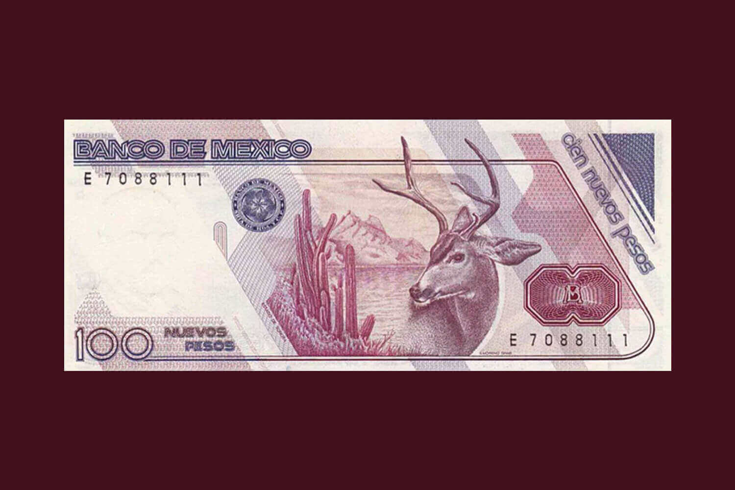 Billete de 100 nuevos pesos, familia B, con venado cola blanca y paisaje de Sonora.  Diseño del Banco de México.