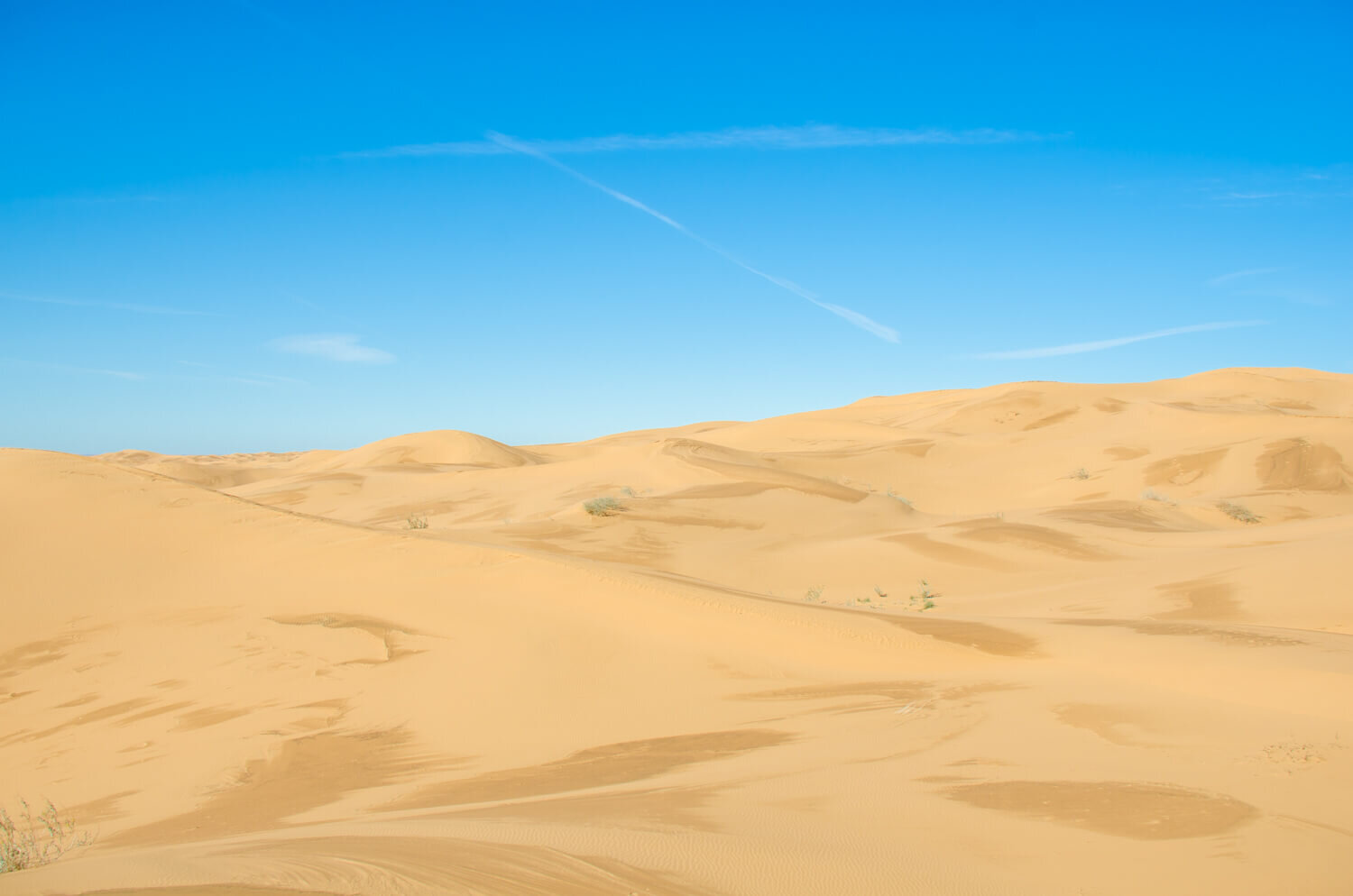 unas de arena en el Gran Desierto de Altar, Sonora. Reserva de la biosfera El Pinacate y Gran Desierto de Altar. Desierto de Sonora.