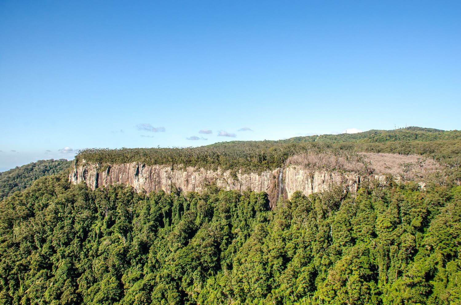 Cascada Purling Brook en el parque nacional Springbrook. ¿Qué ver en Queensland?