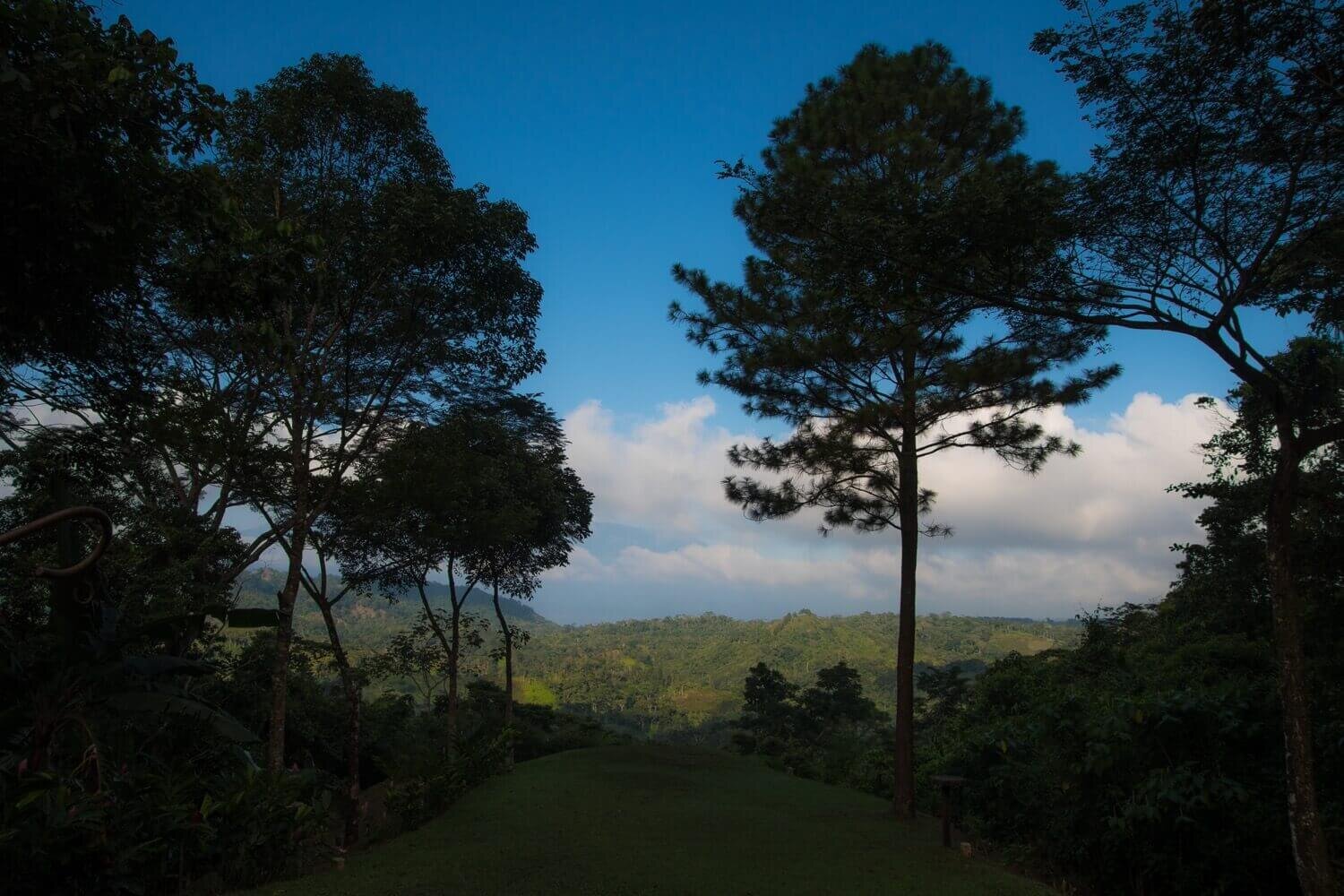 Jardín de colibríes en el lodge del parque nacional Cerro Azul Meámbar. Bosque nuboso de Honduras. Panacam Lodge, turismo sustentable en Honduras.