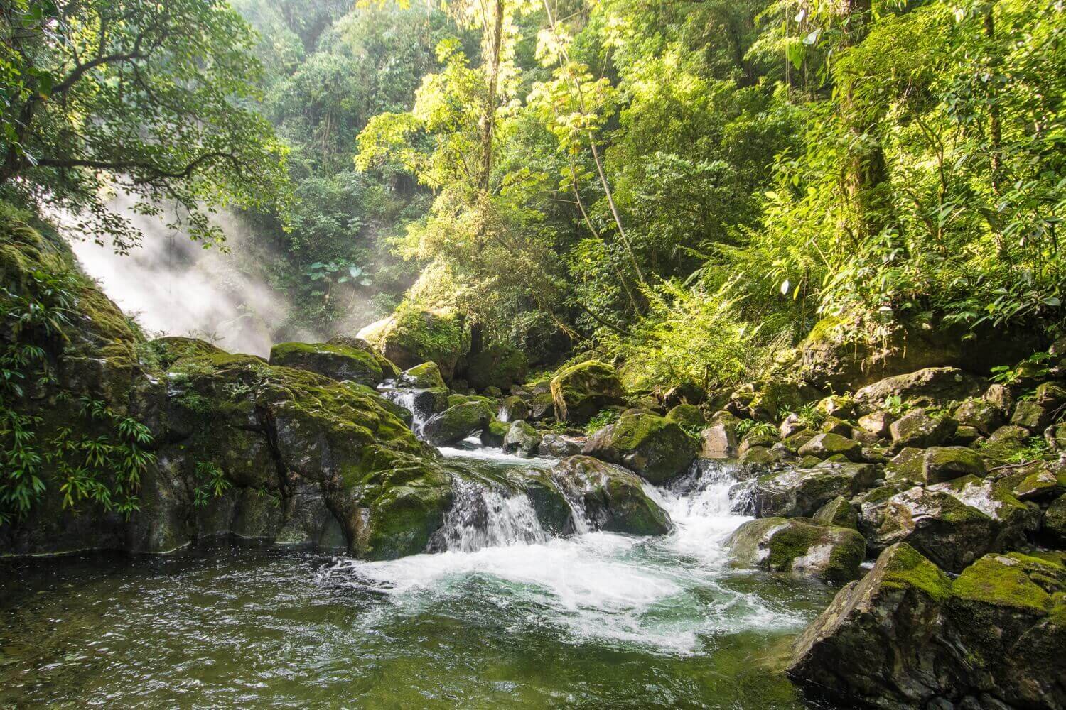 Los senderos más demandantes de Pico Bonito conducen a cascadas y ríos. Turismo sustentable y ecoturismo en Honduras.