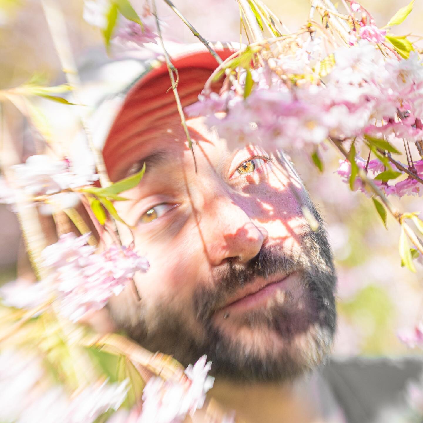 Jota primaveral bien esperanzada en creativa concetual.

📍 | Queen Elizabeth Park
🇨🇦 | Vancouver, BC @inside_vancouver
📷 | Nikon D7500 + Lensbaby Composer @nikoncanada @lensbabyusa