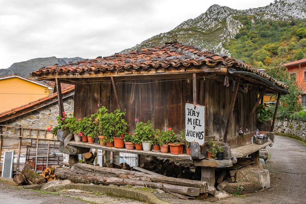 En el parque natural de Ponga, el pueblo de montaña Sobrefoz resguarda hórreos asturianos. Parques naturales Asturias. Turismo rural en la montaña asturiana.