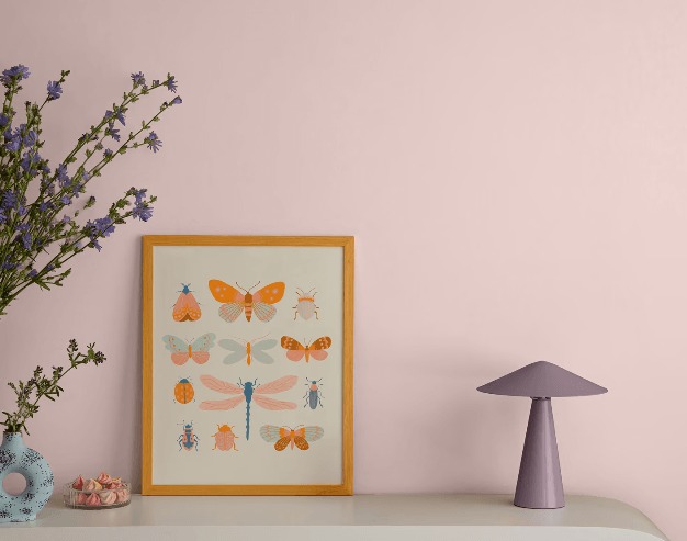 Dulux Birthday Cake DLX1059-2, the 2027 Colour of the Year, shown on soft blush pink walls with playful artwork, purple lighting, and floral accents.