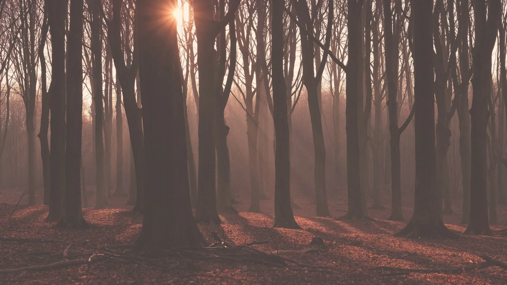 When you’ve decided to forge your own path and you’re faced with uncertainty…