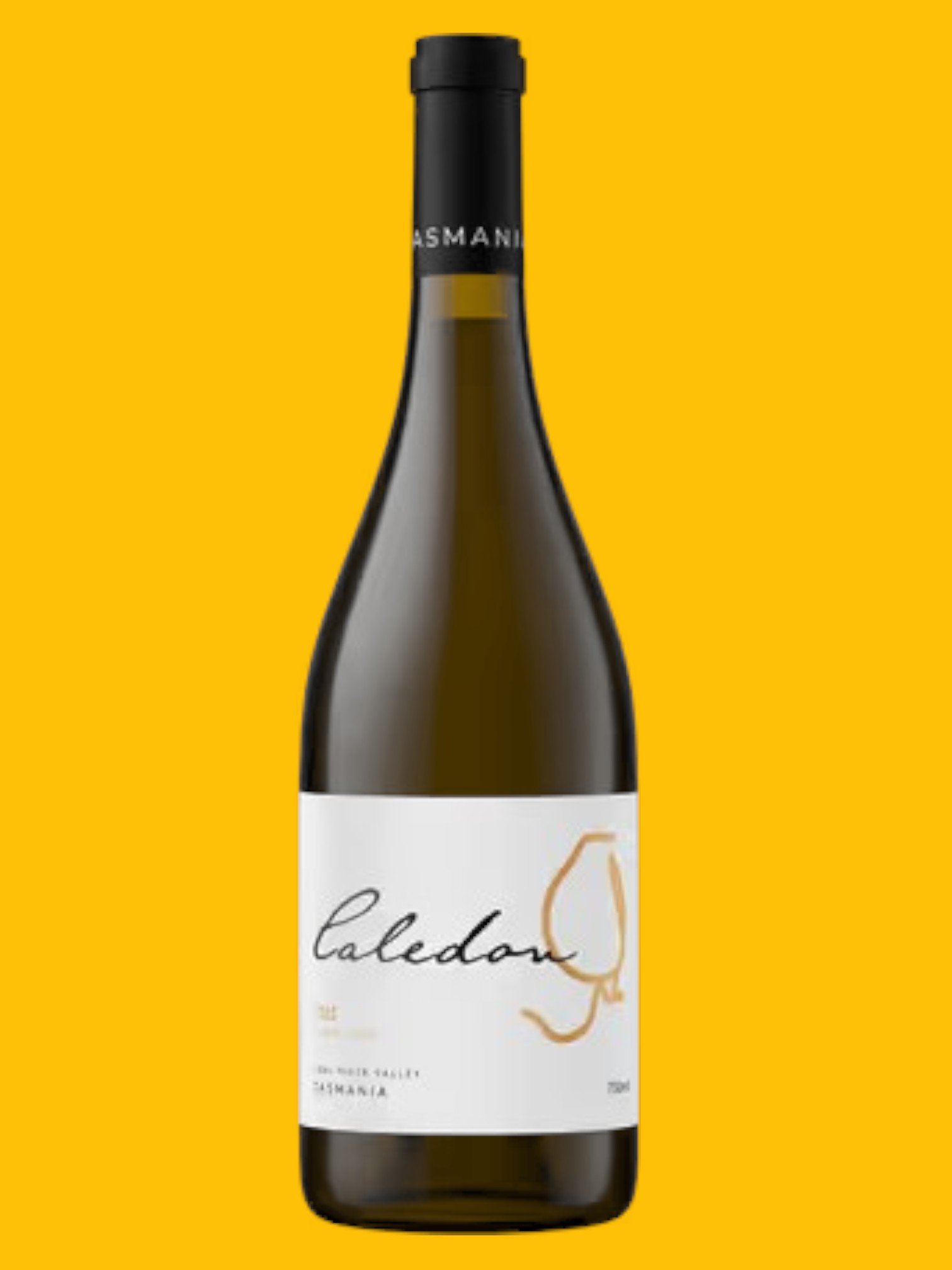 caledon_pinot_noir_2023_front-1718161222551-Photoroom.jpg