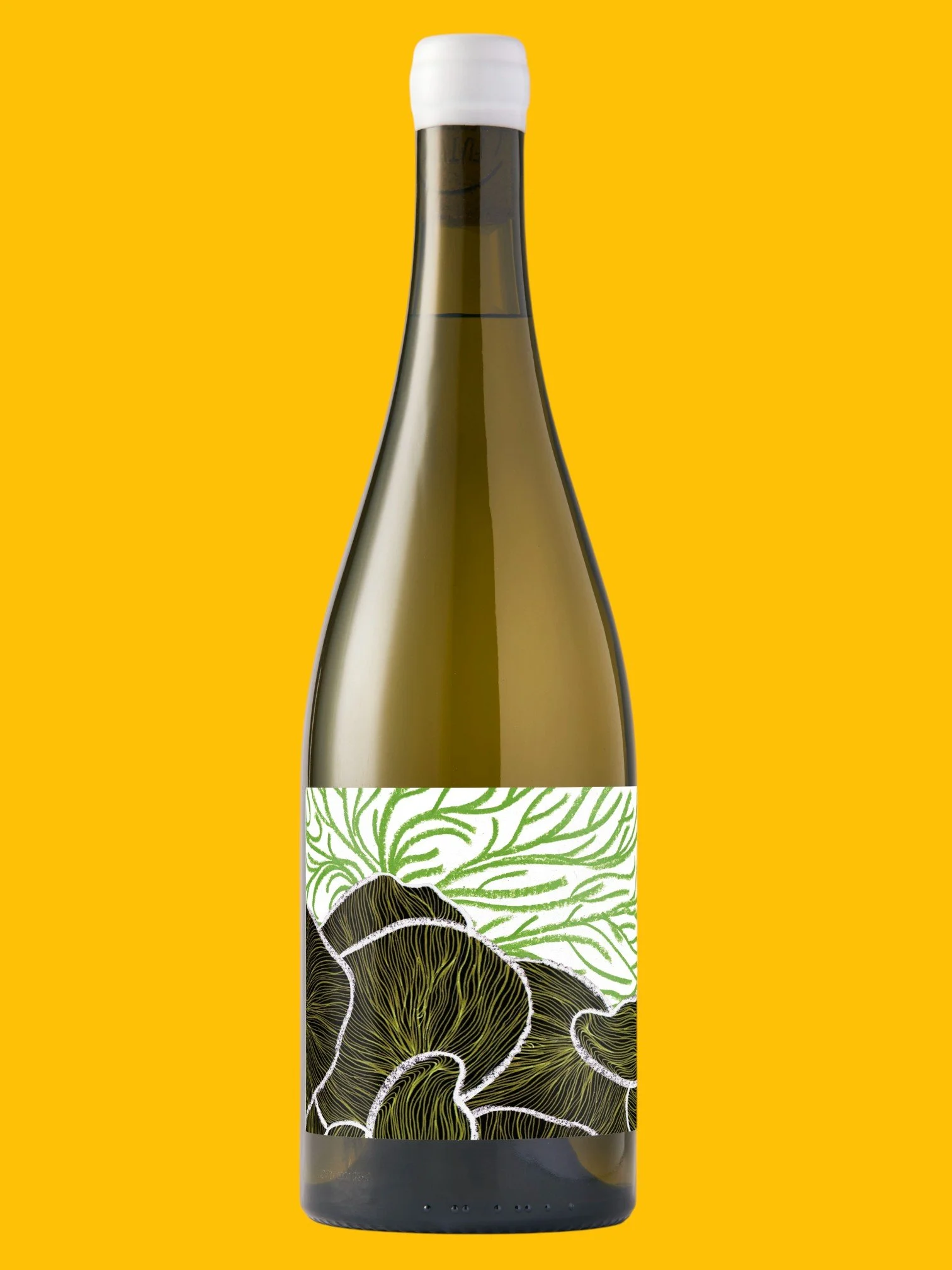 Future Perfect Chard-Photoroom.jpg