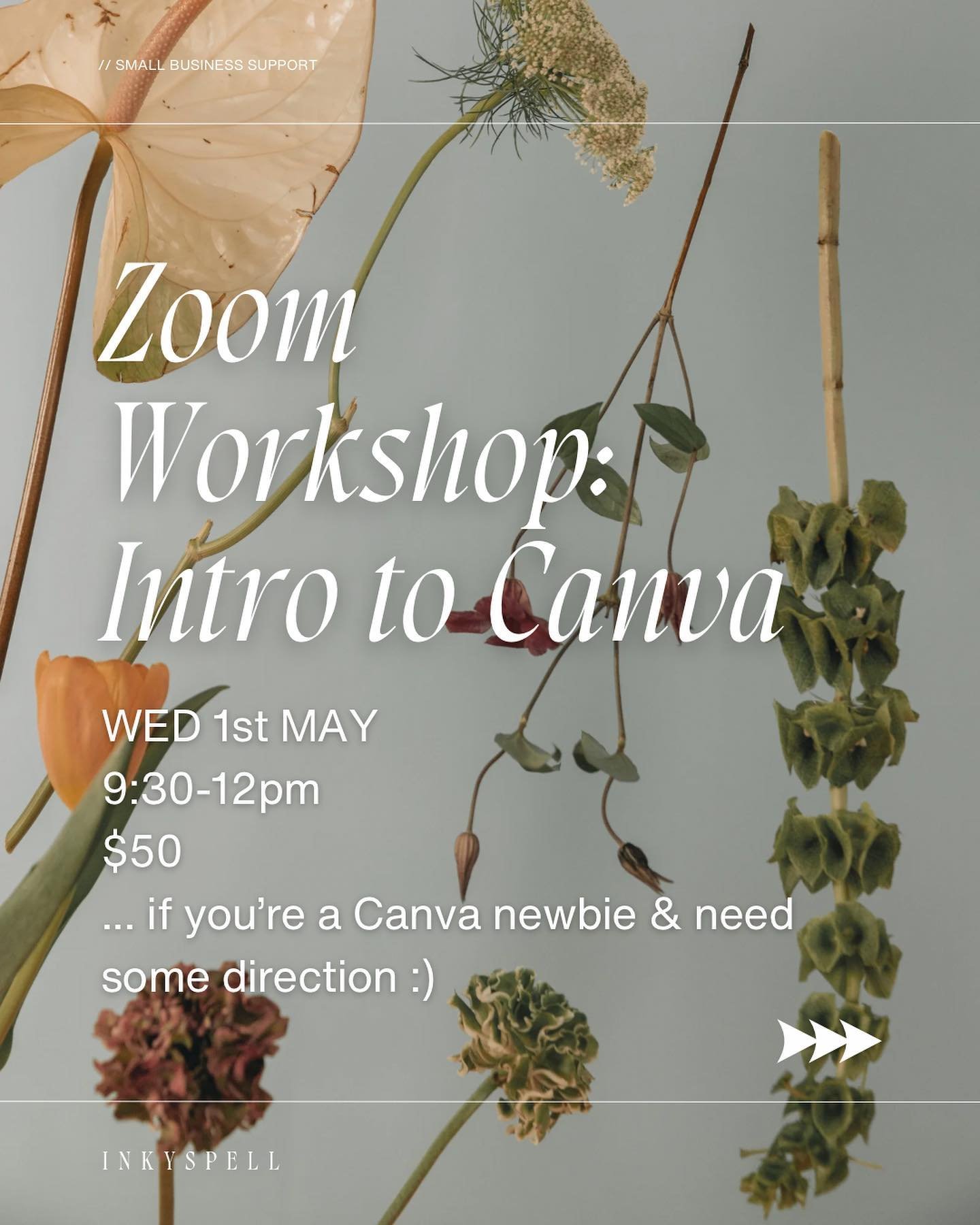 ~ LEARN ~ Hey there lovely people, next Wednesday 1st of May I&rsquo;m running my first Zoom Workshop: Intro to Canva.

This 2.5hr session is designed for beginners &amp; anyone who wants to learn the basic features of Canva. Maybe you don&rsquo;t ev