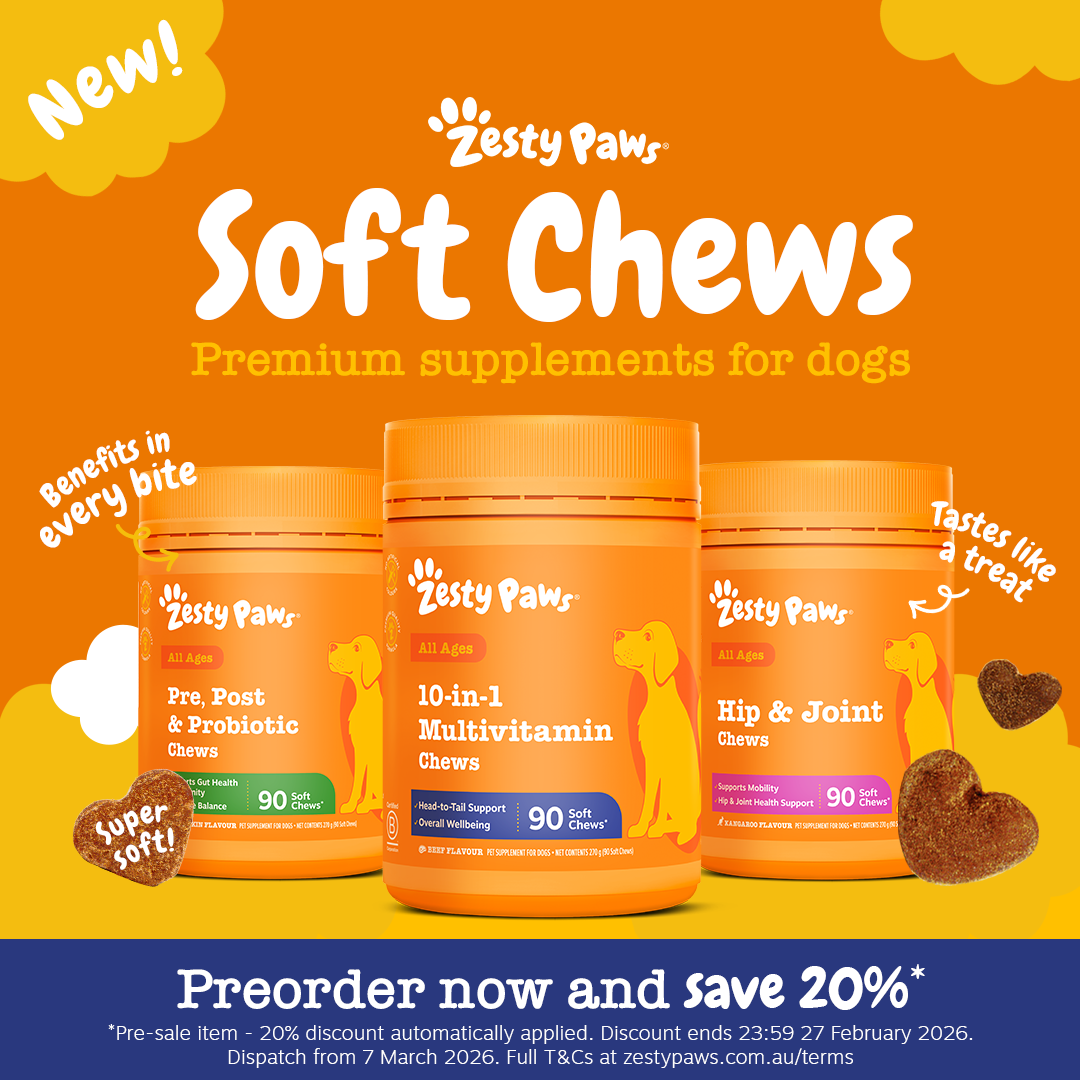 Social Ad (In-Feed) 
 Zesty Paws 