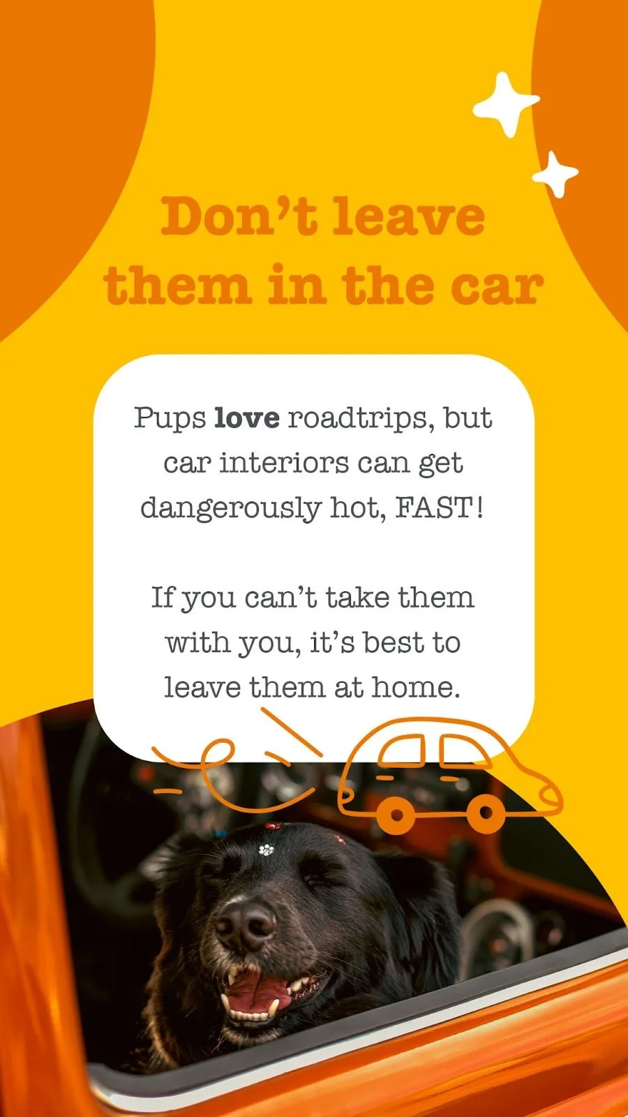 Social carousel 
 
 Zesty Paws Australia 