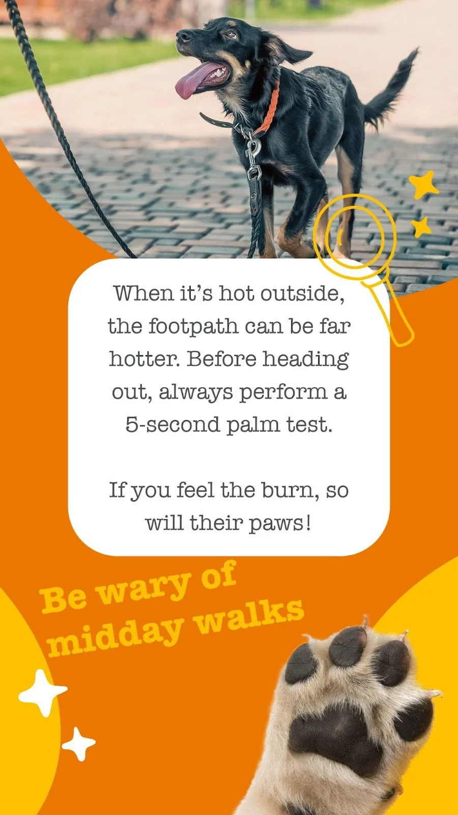 Social carousel 
 
 Zesty Paws Australia 
