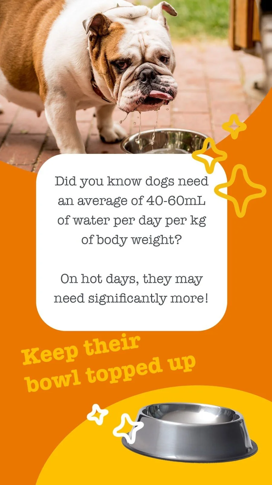 Social carousel 
 
 Zesty Paws Australia 
