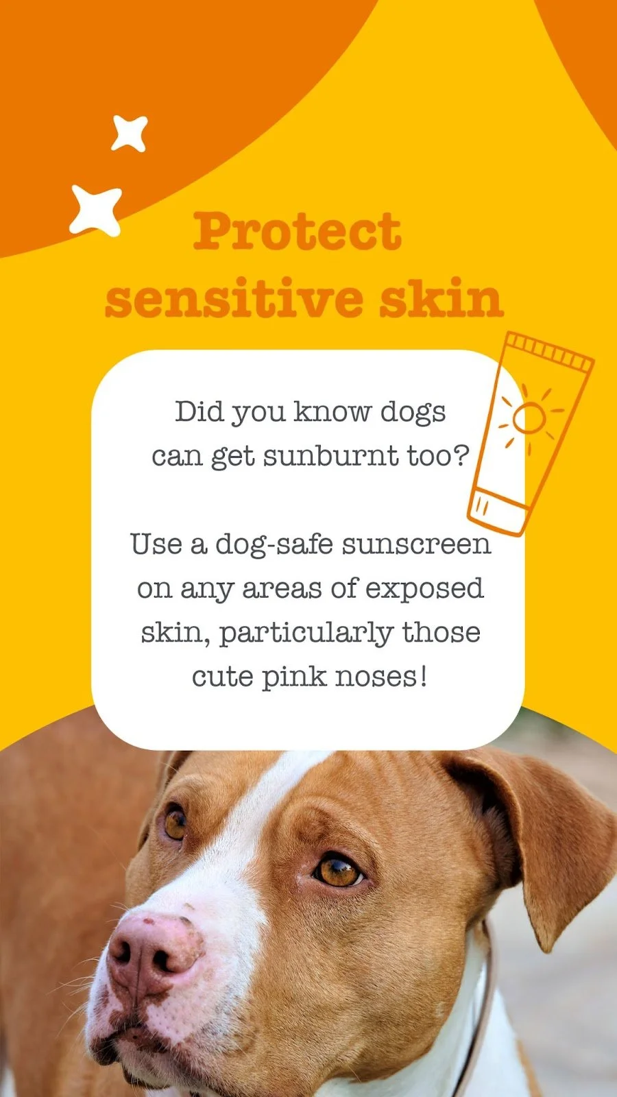 Social carousel 
 
 Zesty Paws Australia 