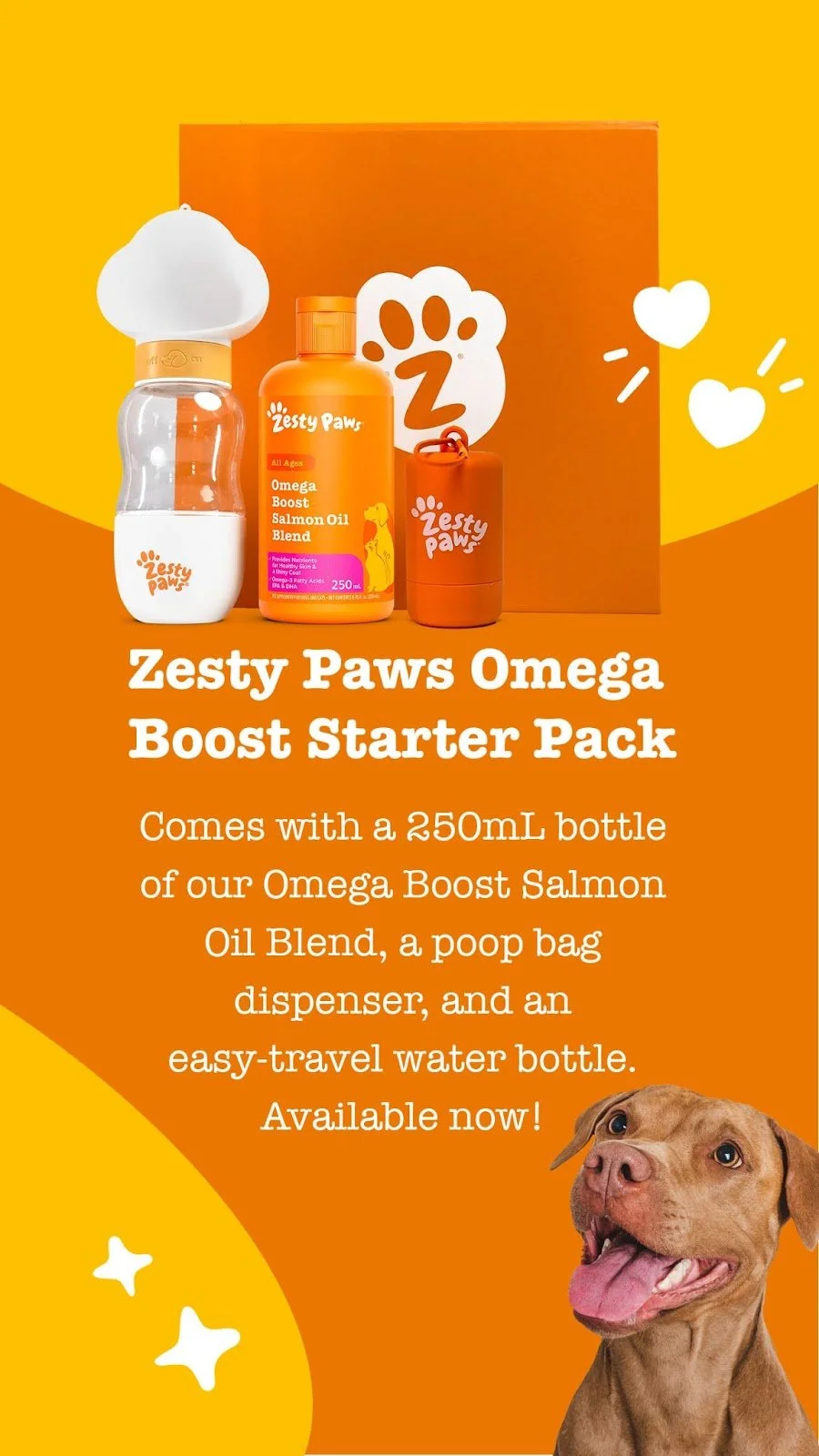Social carousel 
 
 Zesty Paws Australia 