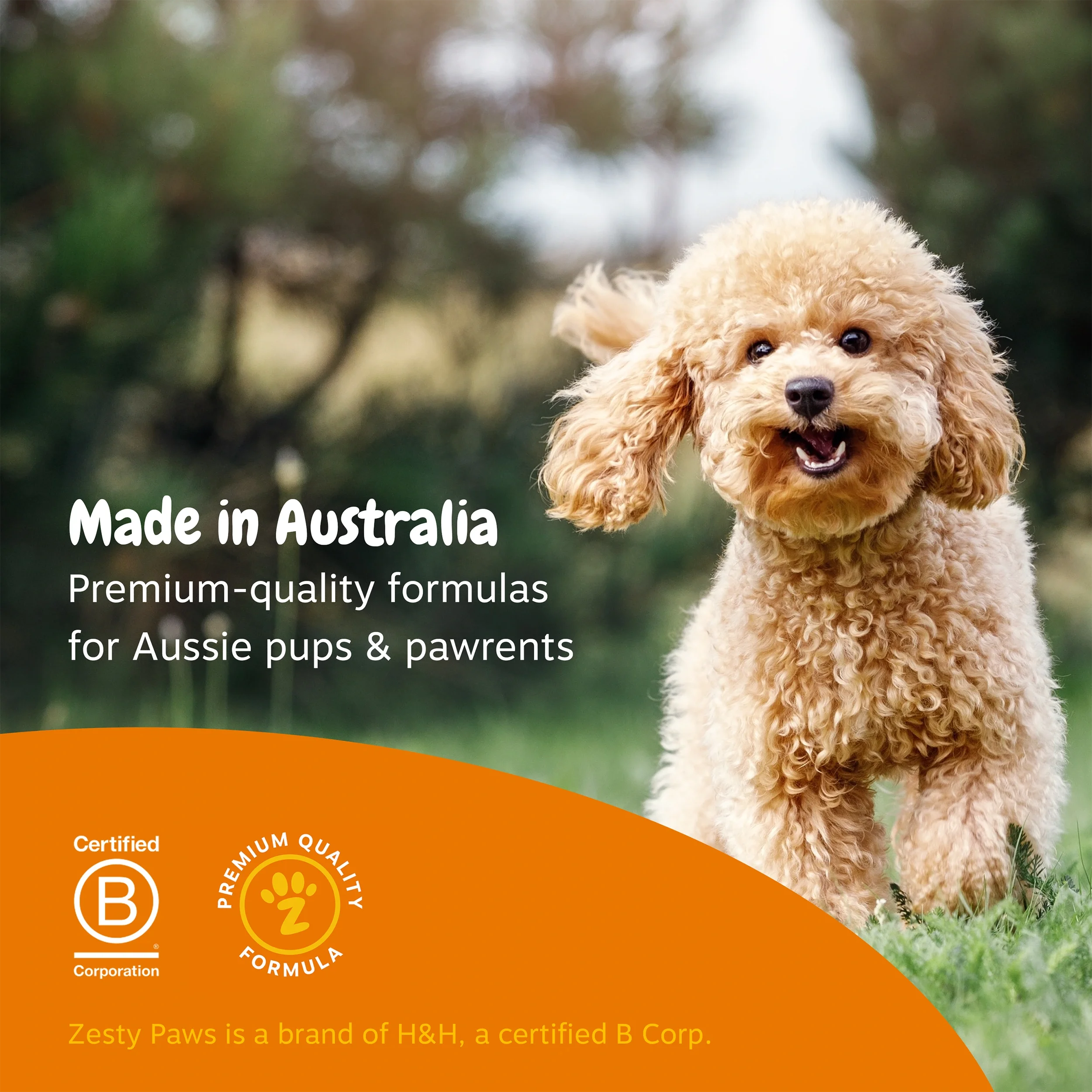 Supplementary retail asset - Zesty Paws Hip & Joint Chews  
 Zesty Paws 