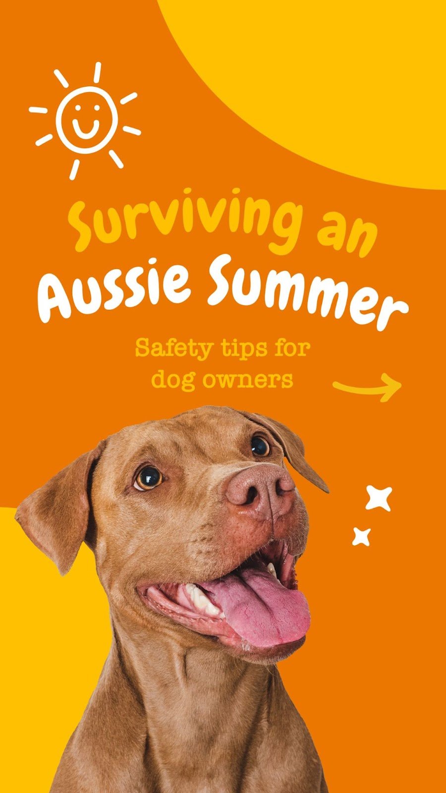 Social carousel 
 
 Zesty Paws Australia 