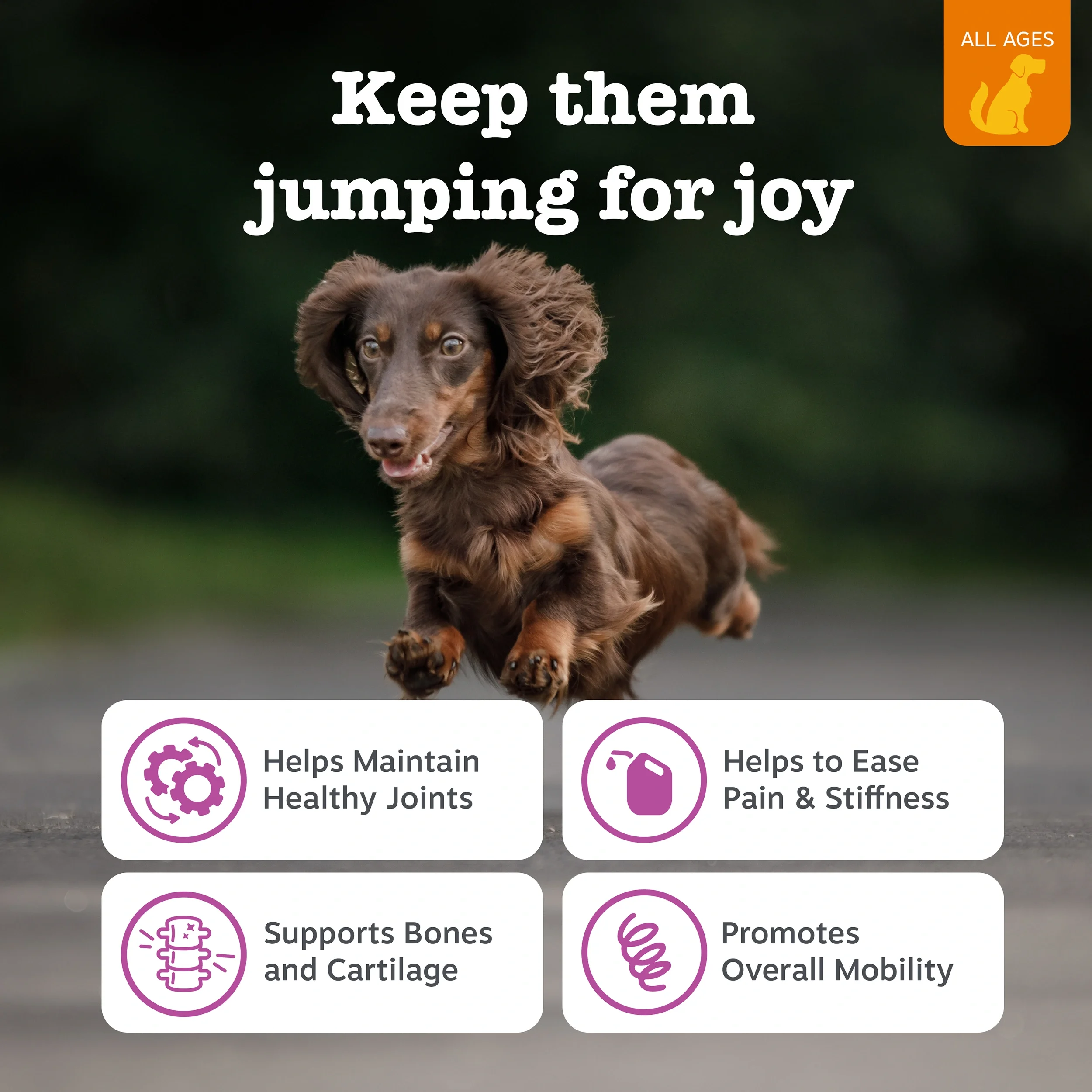 Supplementary retail asset - Zesty Paws Hip & Joint Chews  
 Zesty Paws 