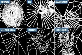 NASA Caffeinated Spider.jpeg