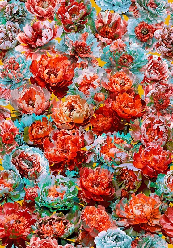 Peony-Palooza_Orange+Blue_140x200_AB1.jpg