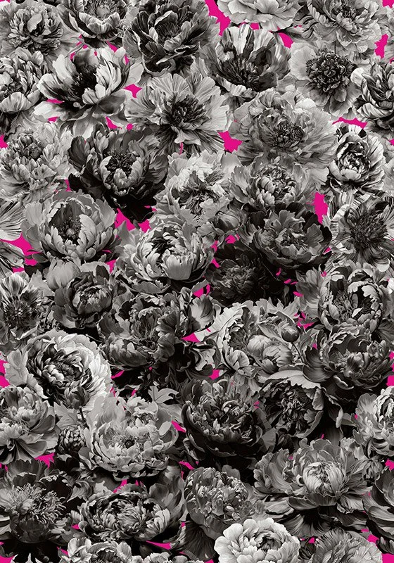 Peony-Palooza_Mono-on-Pink_140x200_AB1.jpg