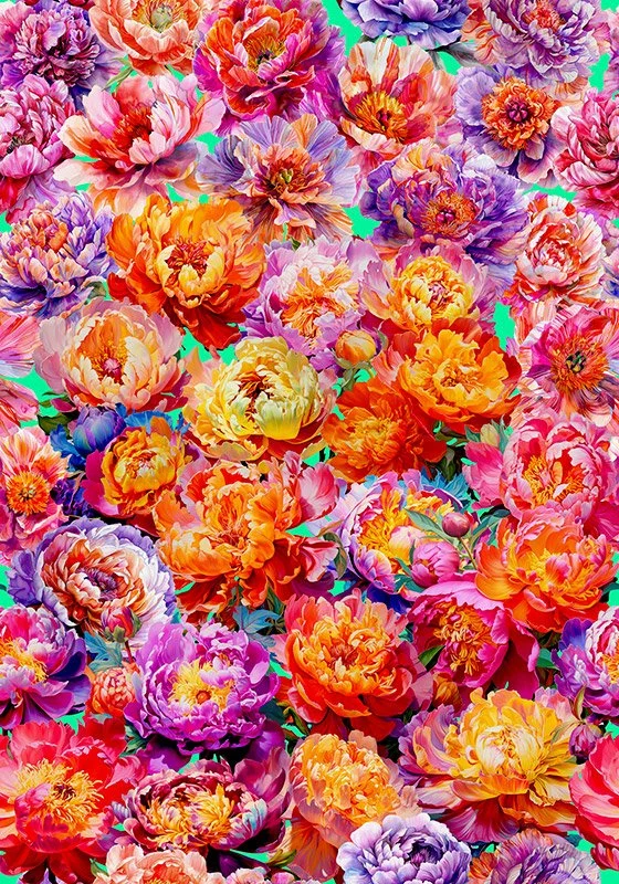 Peony-Palooza_Orange+Pink+Purple_140x200_AB1.jpg