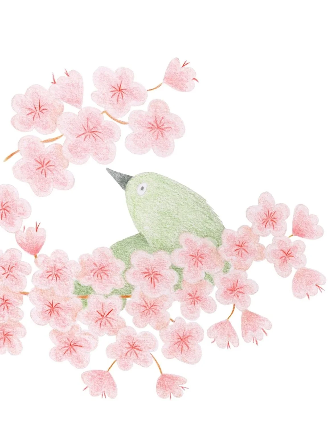 Watercolor illustration of a small green bird surrounded by pink cherry blossoms.