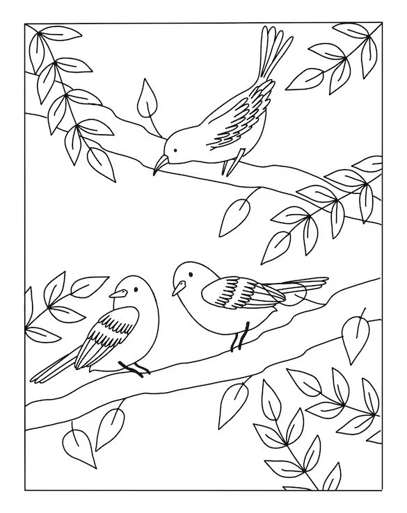 Bird_Colouring_Book_-Robin 2.jpg