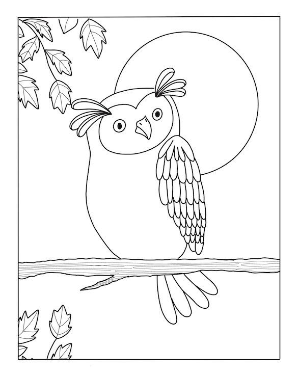 "Leila Nabih" "freelance illustrator" "picture books illustrator" "childrens books illustrator" Flowers, Garden, Birds, Nature, Children, softness, poetry, whimsy, fairytales, wordless, colouring pencils