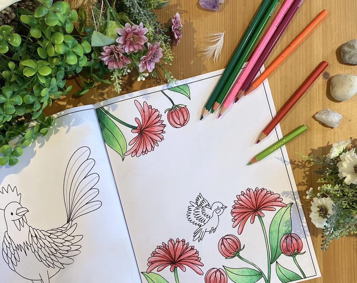"Leila Nabih" "freelance illustrator" "picture books illustrator" "childrens books illustrator" Flowers, Garden, Birds, Nature, Children, softness, poetry, whimsy, fairytales, wordless, colouring pencils