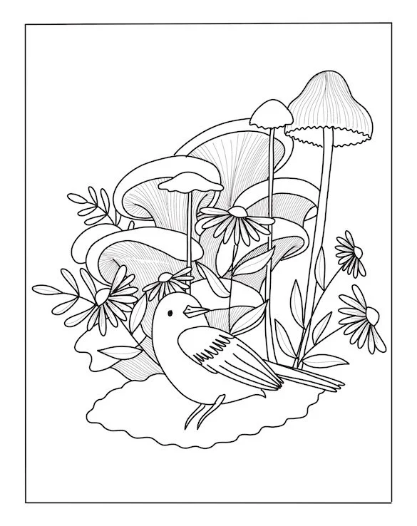 "Leila Nabih" "freelance illustrator" "picture books illustrator" "childrens books illustrator" Flowers, Garden, Birds, Nature, Children, softness, poetry, whimsy, fairytales, wordless, colouring pencils