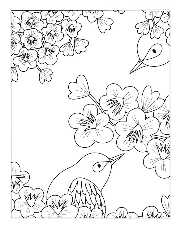 Bird_Colouring_Book_-_Cherry_Blossoms 2.jpg