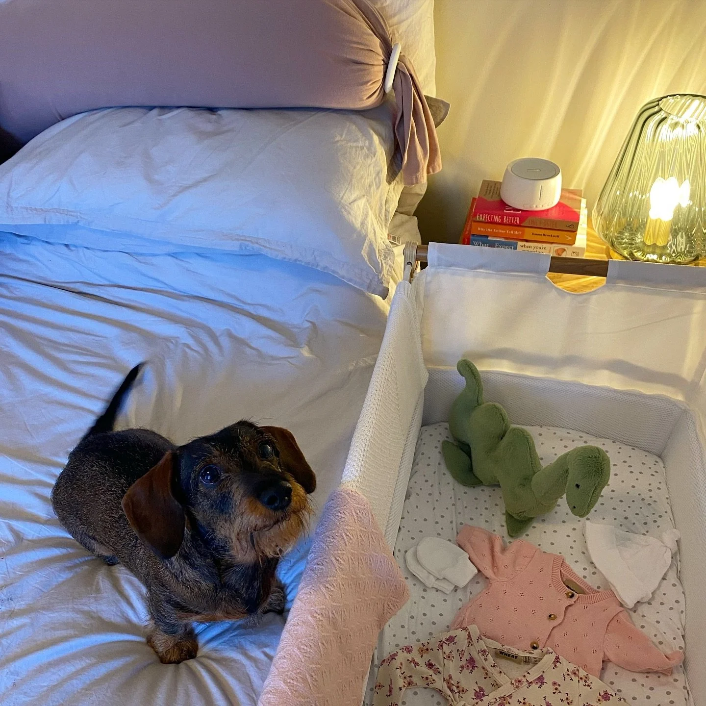 This week we hit the 8 month mark and started setting up the nursery and our @snuzuk SnuzPod4 bedside crib 💫 I can&rsquo;t believe a baby is going to sleep in here next to us (sleep being the key word!). We&rsquo;re also wondering how long it will t