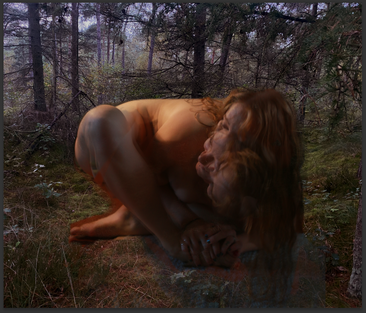 Screen Shot 2025-02-05 at 11.47.04 pm.png