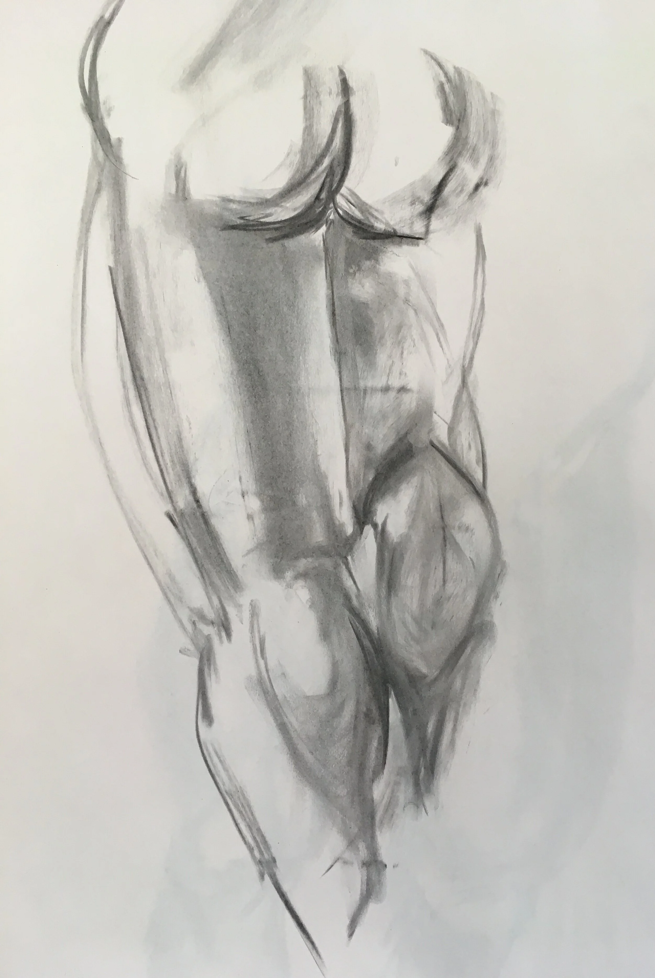 TAUT                                      charcoal on paper