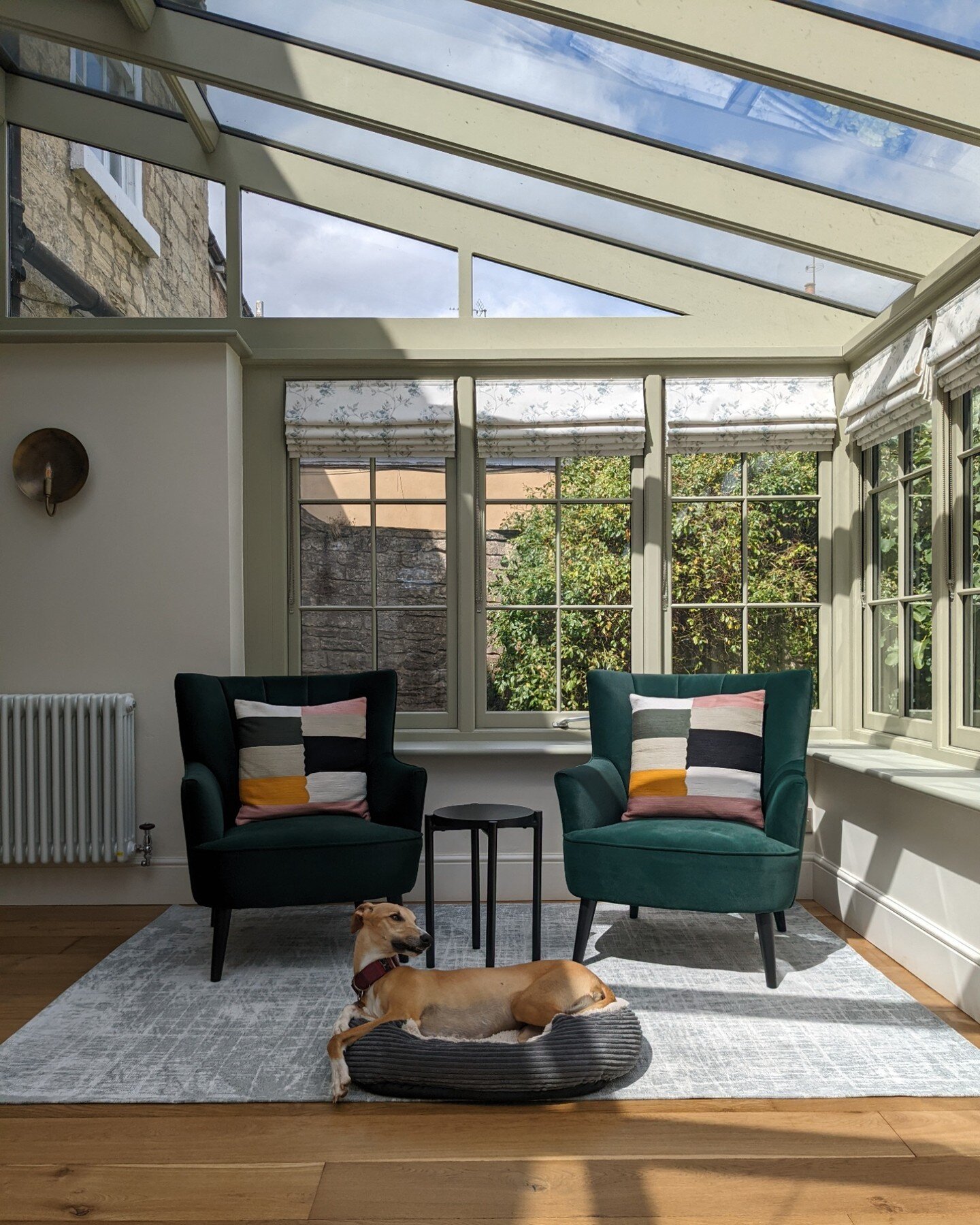 Jack the whippet enjoying this sunny spot at my Georgian project in Boston Spa. Kitchen-diner-playroom reveal coming soon!
.
.
.
.
#orangerie #interiordesign #interiorstyling #whippet #georgianhome #sittingarea #periodhomes #greenpaint #littlegreene 