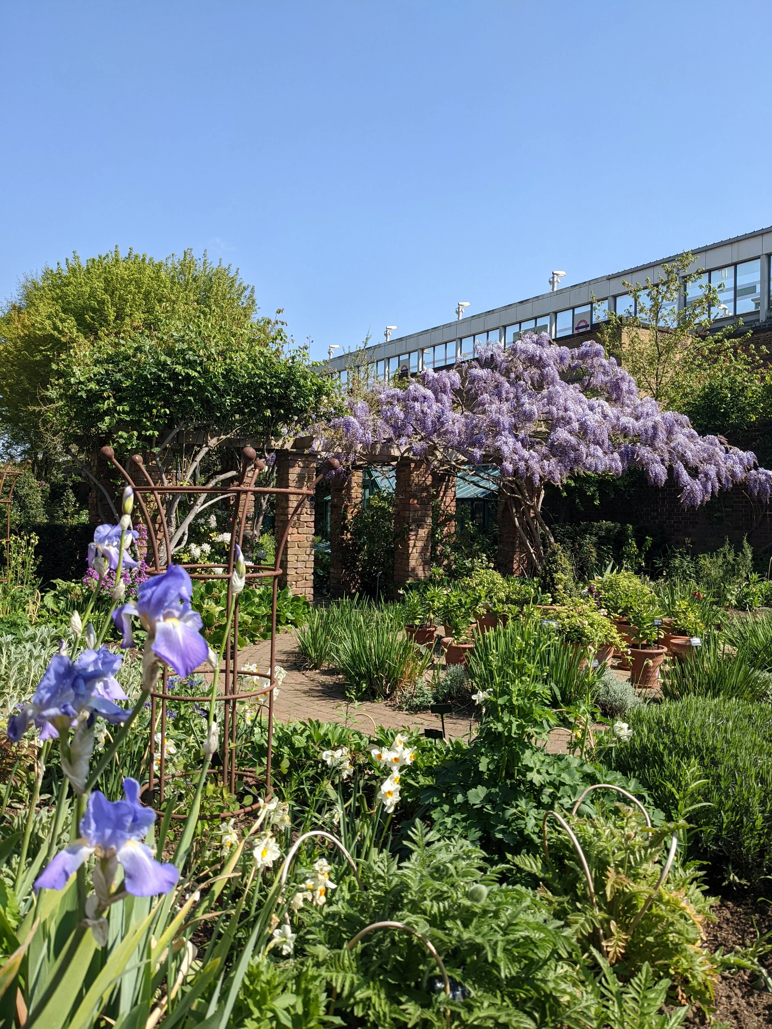 Gardens through Time at Museum of the Home