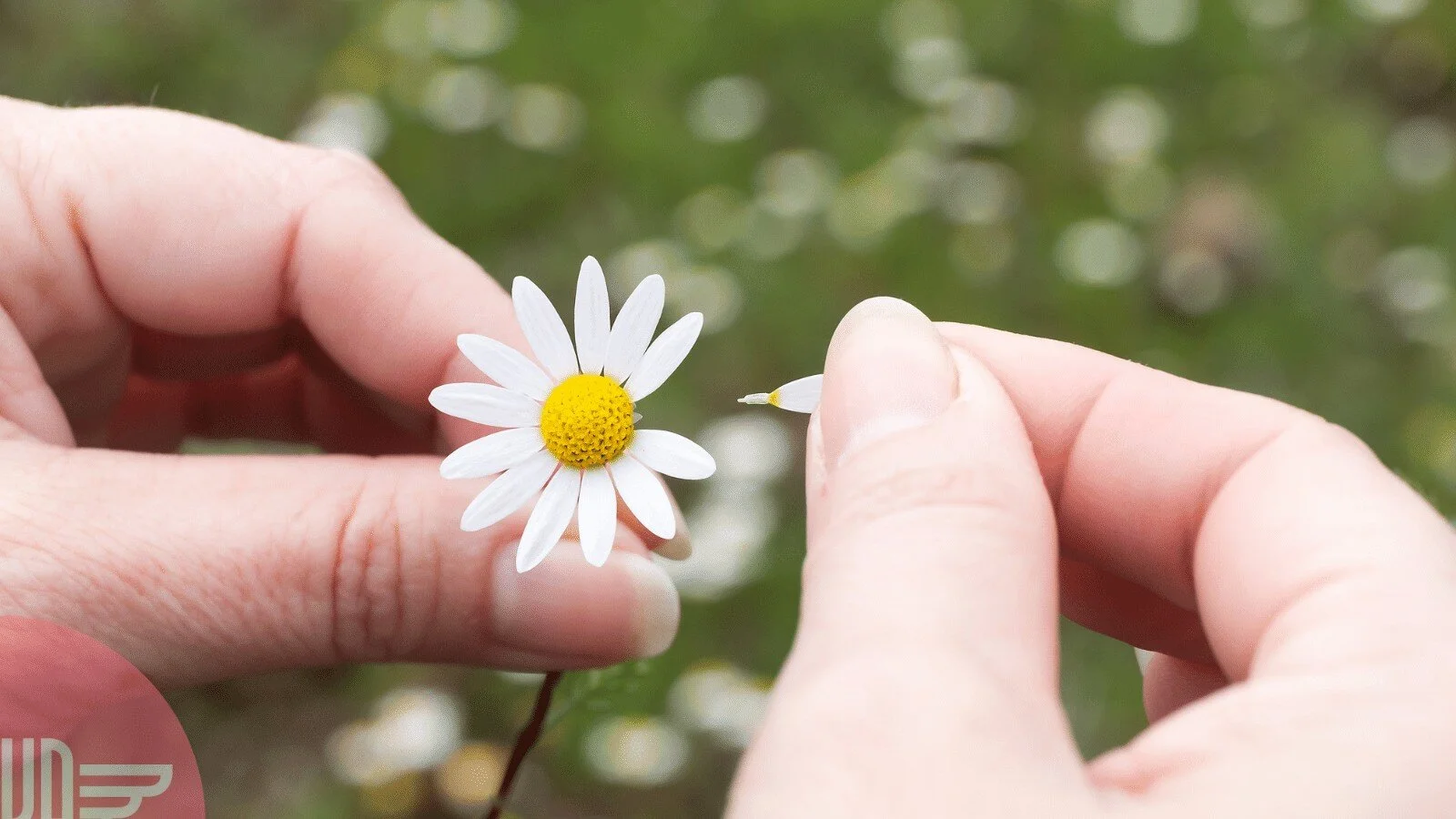 Om målgrupper og kjærleik. (Eller: Slik definerer du målgruppa di.)