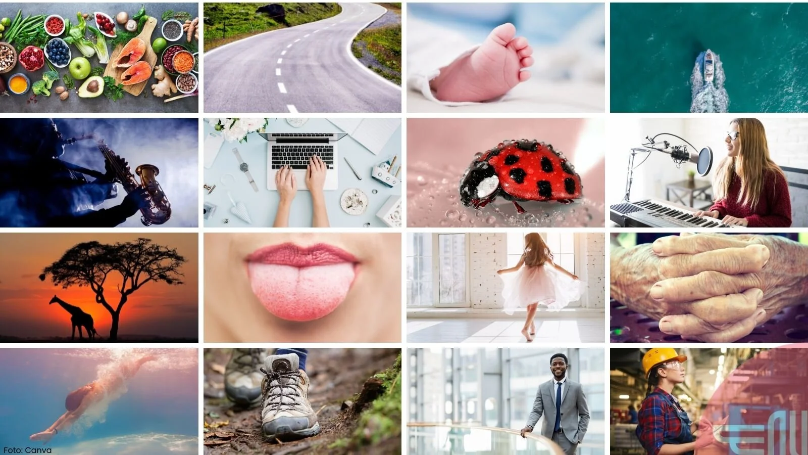 Collage av bilde i ulike fargar og med ulike motiv. Illustrasjon laga i Canva.